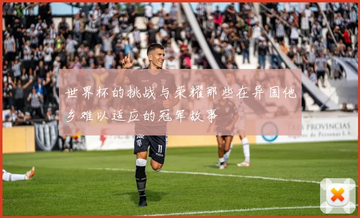 世界杯的挑战与荣耀那些在异国他乡难以适应的冠军故事