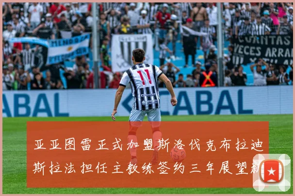亚亚图雷正式加盟斯洛伐克布拉迪斯拉法担任主教练签约三年展望新篇章