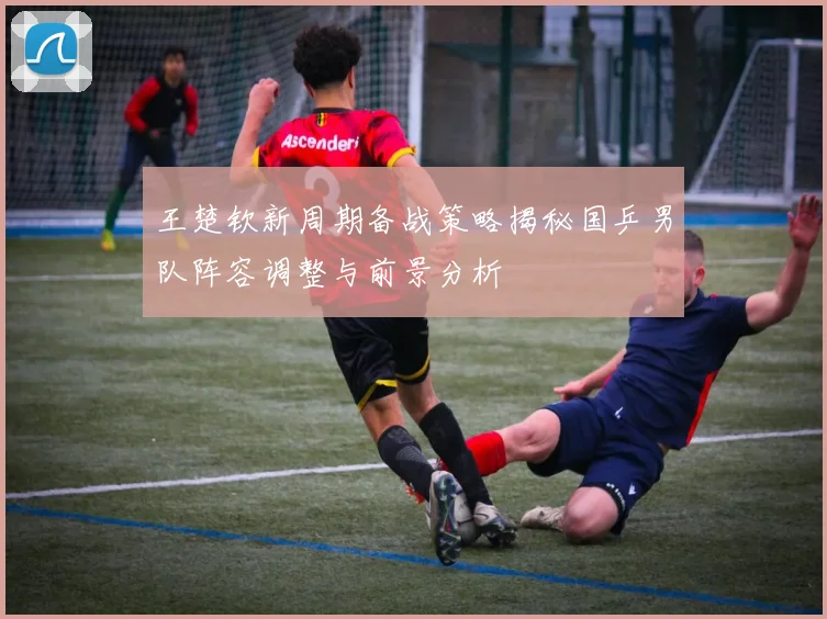 王楚钦新周期备战策略揭秘国乒男队阵容调整与前景分析